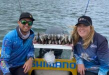 Proper whiting in the bay