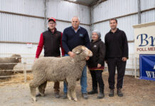 Low buyer numbers affect sale