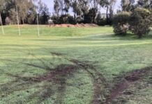 Elderly woman reported over crash