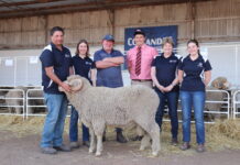 Collandra generates strong clearance