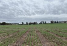 Project to unlock enhanced efficiency fertiliser potential