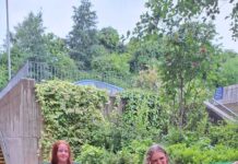 Golf girls go from strength to strength