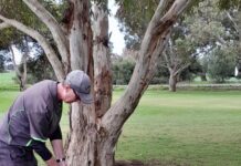 Nottle navigates around the course with ease