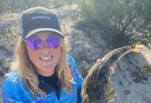 Numerous spot to target whiting