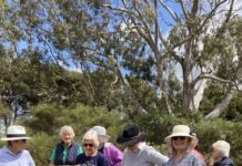 Group explore extensive collection