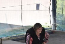 Summer bocce flourishes