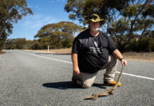 Call to look out for goannas