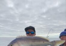 Queen snapper offshore up West Coast