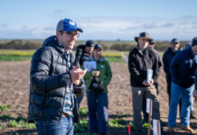 Project targets cereal frontiers in lower rainfall areas