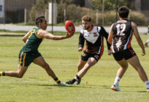 Aboriginal talent showcased at carnival