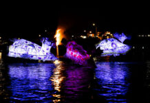 SALT Festival applications open