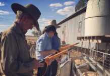 Essential equipment rebate available