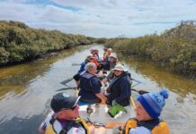 Lincoln paddlers sizzle