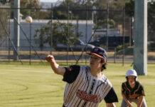 Saints down Coyotes under lights