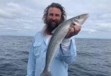 Whiting throughout Coffin Bay