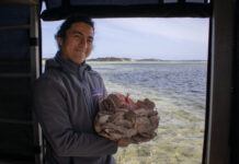 Protecting Australia’s Only Natural Shellfish Reef