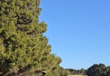 George leads the way