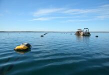 Lower Eyre fishing leases open