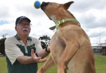 Looking back: Pawsome park officially open