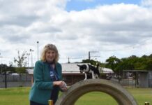 Dog park remains open for all