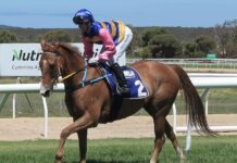 Disappointment for club over forced postponement