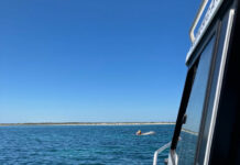 Man rescued near Coffin Bay