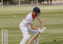 Tasman and Wayback pick up wins