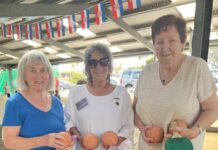 Waratah flexes muscles