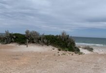 Step out to the beach at Port Gibbon