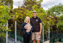 Trees to suit your needs