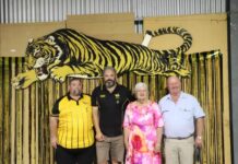 Looking back: Tigers reflect on 50 successful years