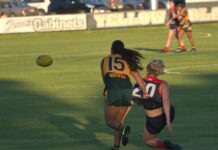 Tigers and Peckerettes head into break with wins