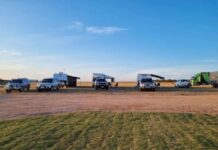 Perlubie primed for season