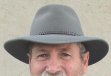 A year of highs and lows