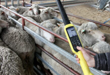 Be ready for eID in 2025