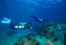 Deep dive into snorkelling industry