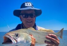 Shark and Ray changes protect species