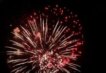 Summer Fest fun for all