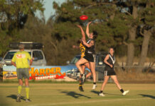 Wayback off the mark with tight win