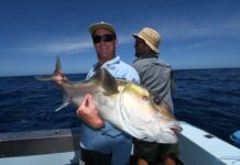 Spalding Cove for blue crabs