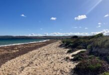 SAPOL spreads water wise message