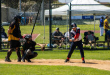 Coyotes down Saints as baseball returns