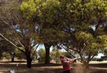 A 41-point party in latest rounds