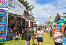 Summer Fest returns to foreshore