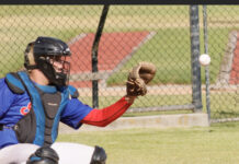 Shields too strong for Coyotes