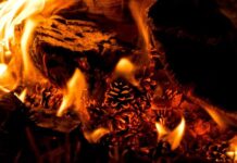 Wangary fire extinguished