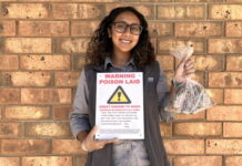 Fox baits ready for landholders