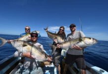 Squid stocks at Boston