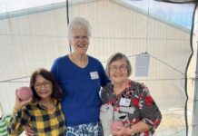 Honeysuckle claims top spot