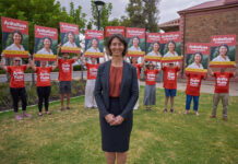 Independent Grey candidate named